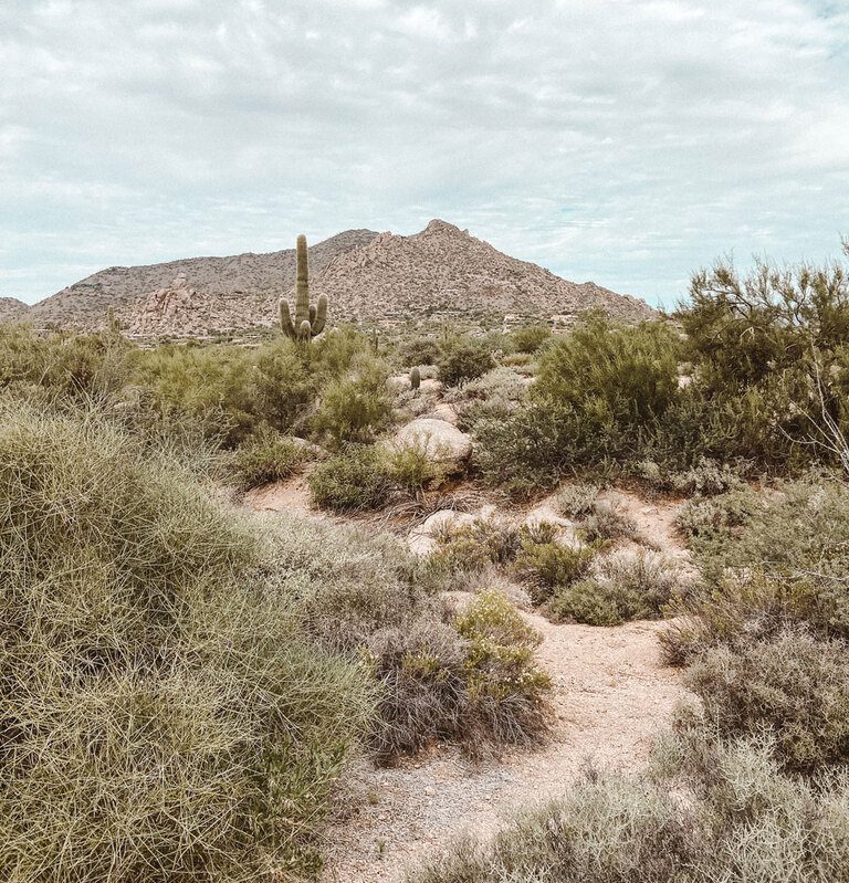 Girls weekend in Scottsdale: Best things to do on a Girls trip to Scottsdale Arizona