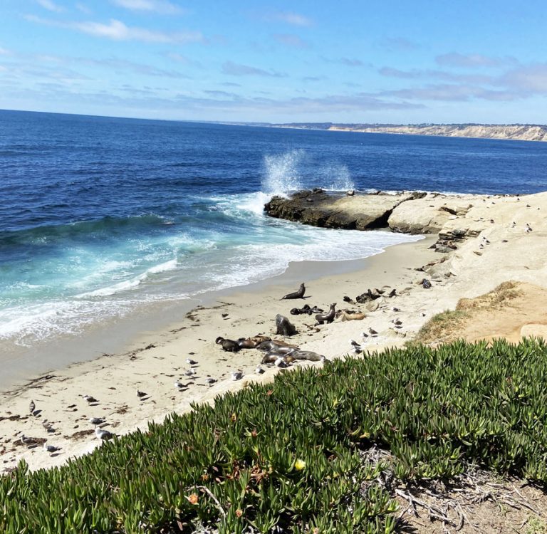9 Fun Things to do on a Girls Trip to San Diego