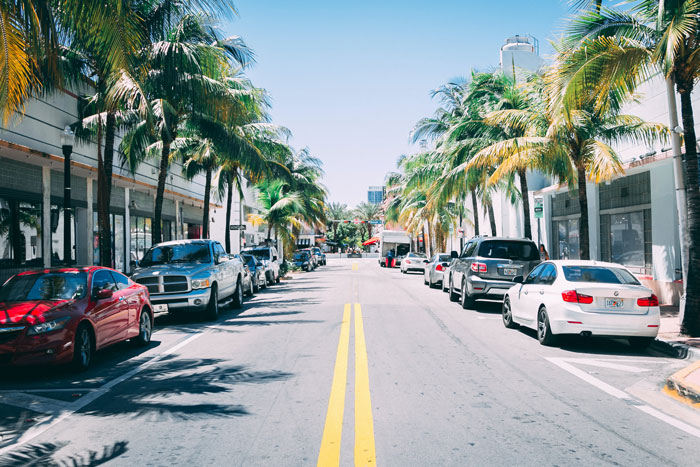 A bustling street lined with palm trees in Miami, with parked cars and buildings on a clear sunny day, evoking the vibrant city life.