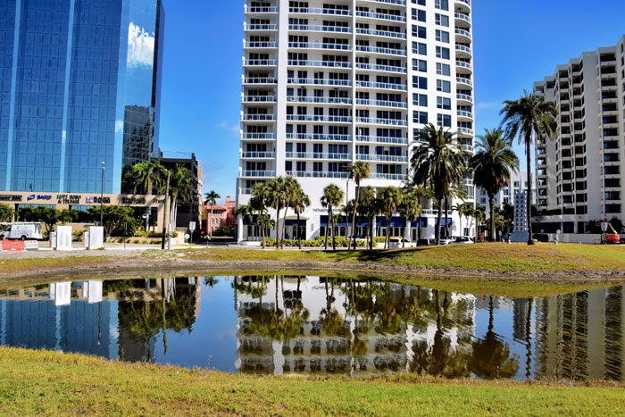 Lush greenery reflecting in a pond with high-rise buildings and palm trees in the background, showcasing downtown Sarasota's urban landscape