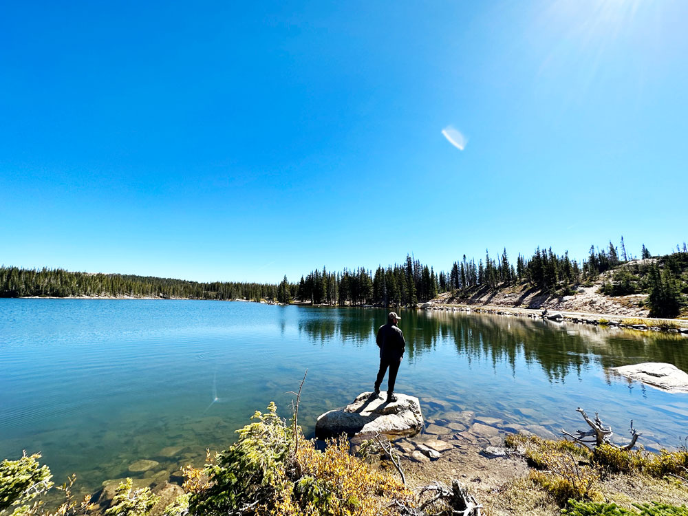A lone individual stands on a rock gazing over a serene mountain lake surrounded by evergreens under a bright blue sky.