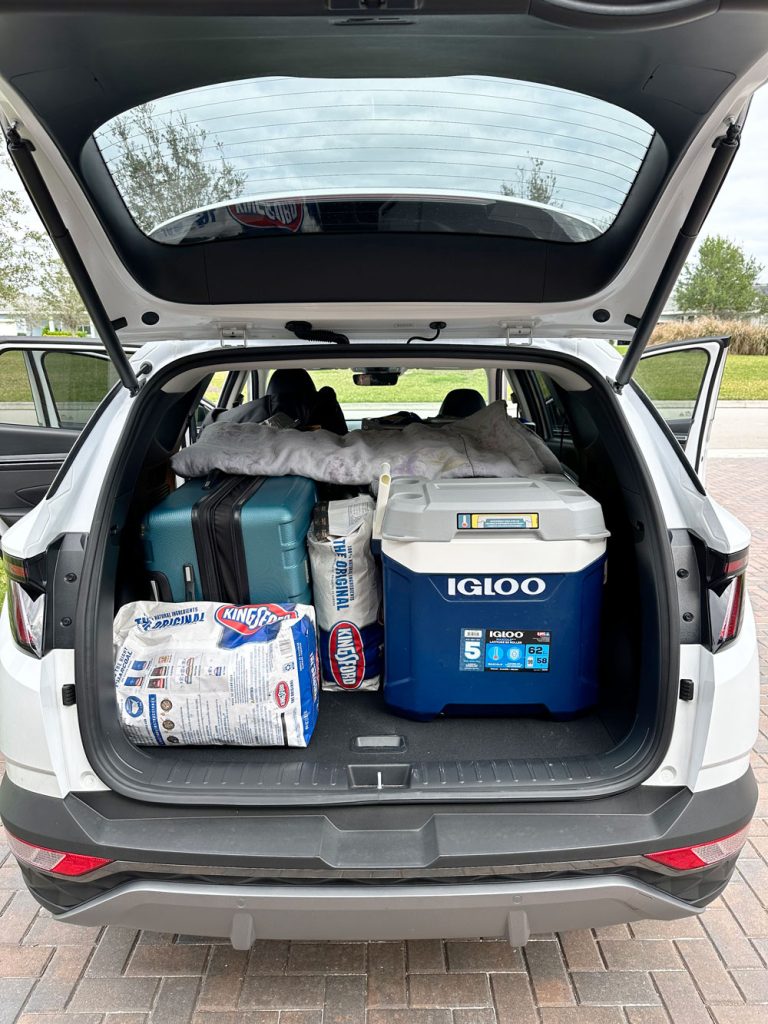 The trunk of an SUV packed with travel essentials, featuring suitcases, a cooler, a charcoal bag, and various bags, viewed during daytime.