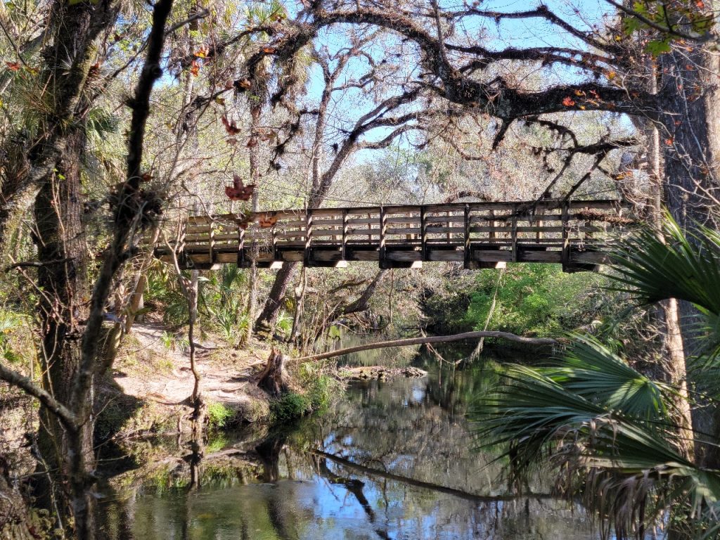 A scenic view of a wooden bridge crossing over a serene river, surrounded by dense trees and vegetation in a peaceful forest setting.