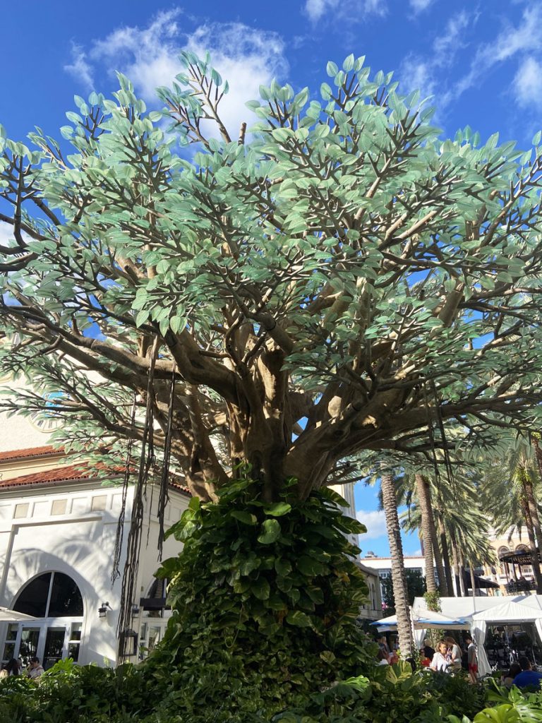 Lush greenery of a robust tree with silver leaves contrasting against a bright blue sky in West Palm Beach.
