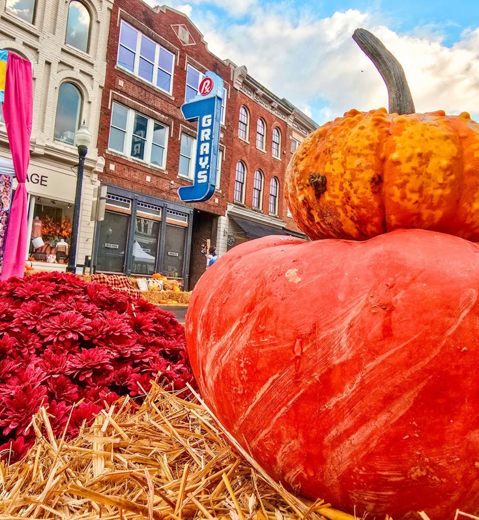 Large orange pumpkin on a bed of straw, with deep red flowers and historic brick buildings in the background under a partly cloudy sky.